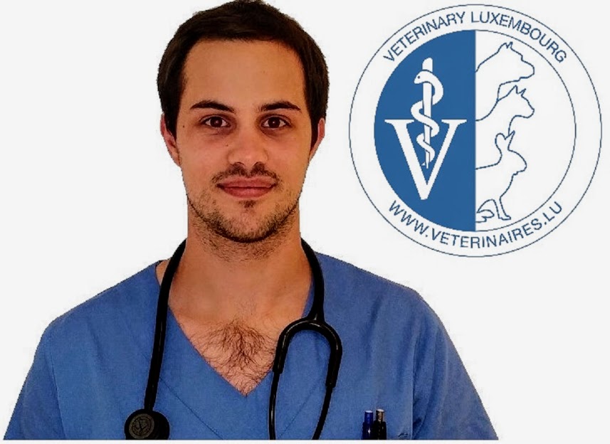 Dr. Daguenet Florent